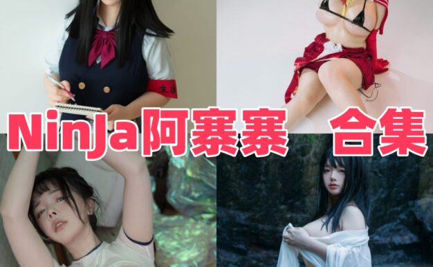 NinJa阿寨寨作品看点：神明巫女、阿狸和生徒会长都很有记忆点