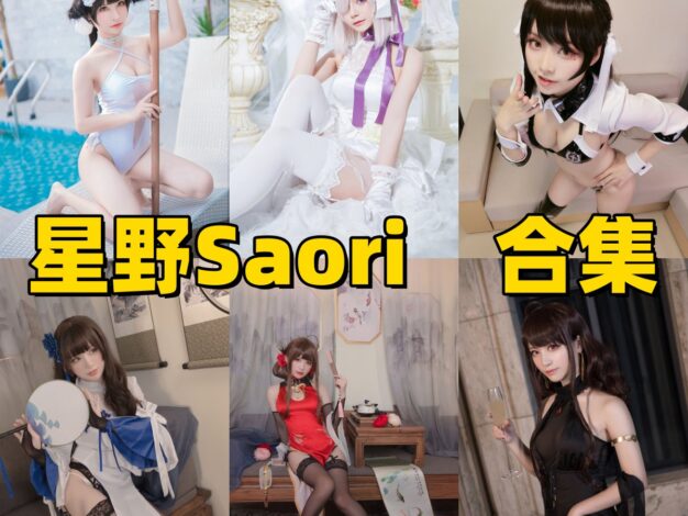 星野saori作品小记：玛修、玉藻前和赛车高雄爱宕都挺有味道