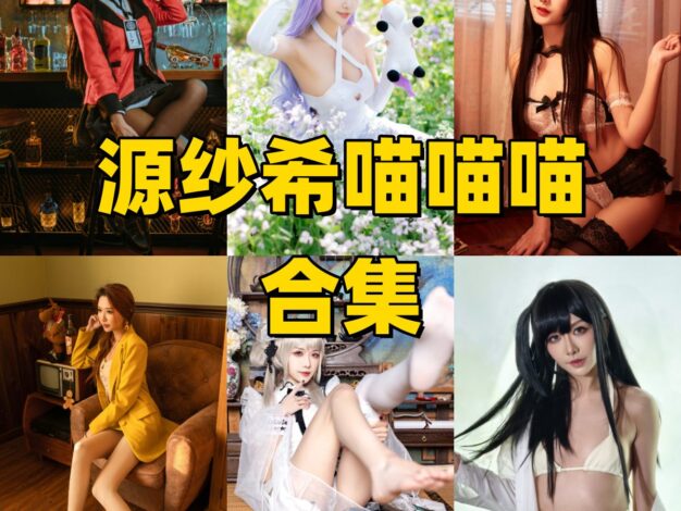 源纱希喵喵喵作品整理：企业赛车、大凤泳衣和暗黑通讯官都很有画面