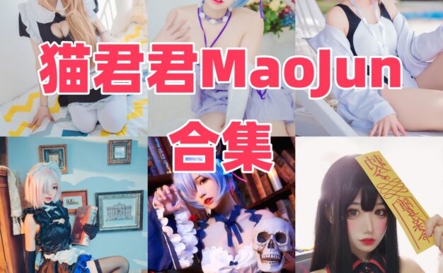 猫君君_MaoJun作品看点：雷姆、阿米娅和女仆主题都挺耐看