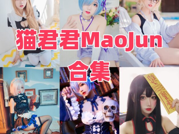 猫君君_MaoJun作品看点：雷姆、阿米娅和女仆主题都挺耐看