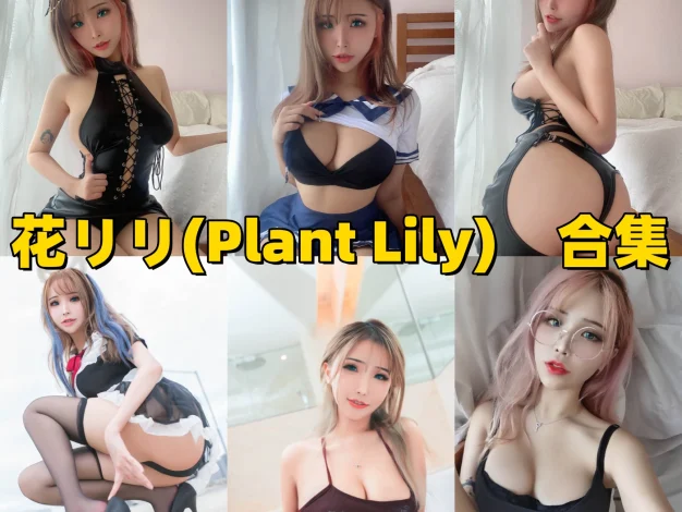 Plant Lily：角色造型与图集风格整理